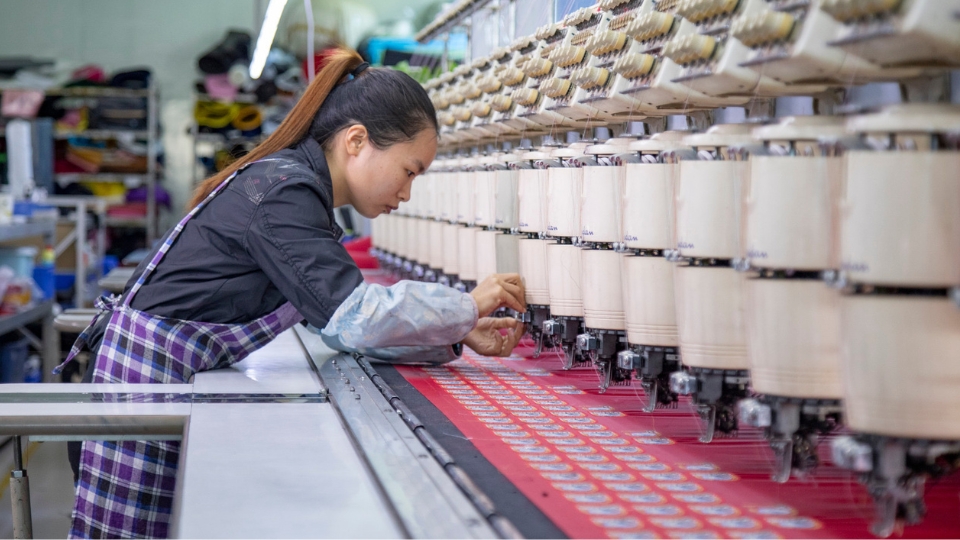 Embriodery Stitching