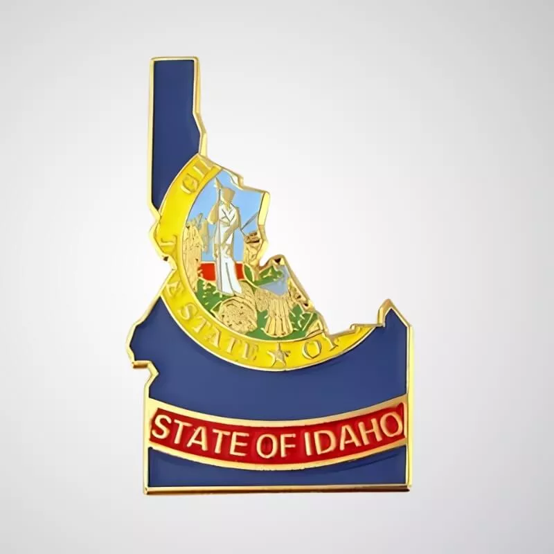 State-Pins-6