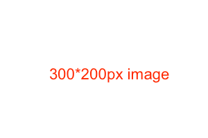 300_200px