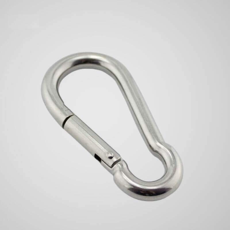 Carabiner hook lanyard