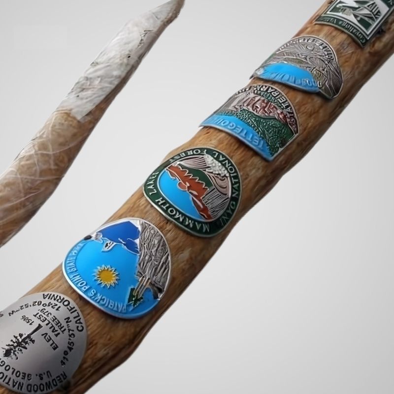 Custom Walking Stick Medallions