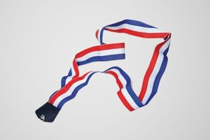 Stripped Color Polyester (3 colors)